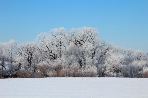 35_Frosting